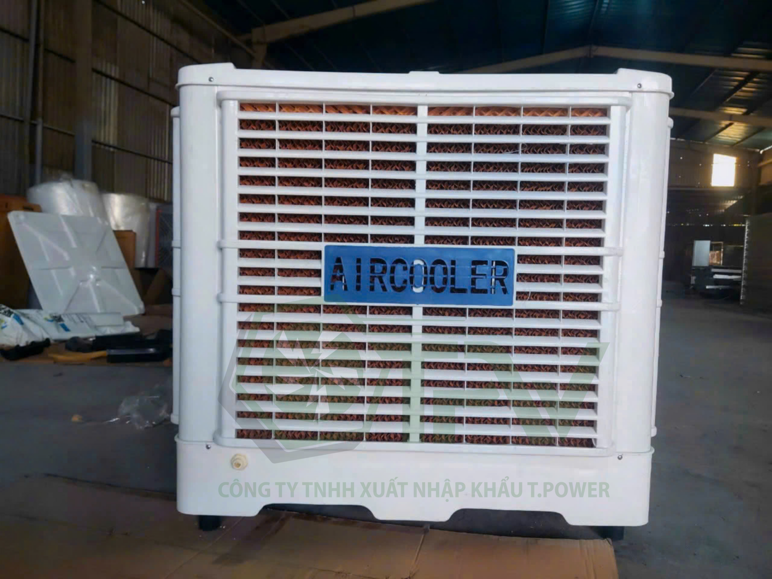 Thiết kế chưa có tên (55) Thiết kế chưa có tên (55)