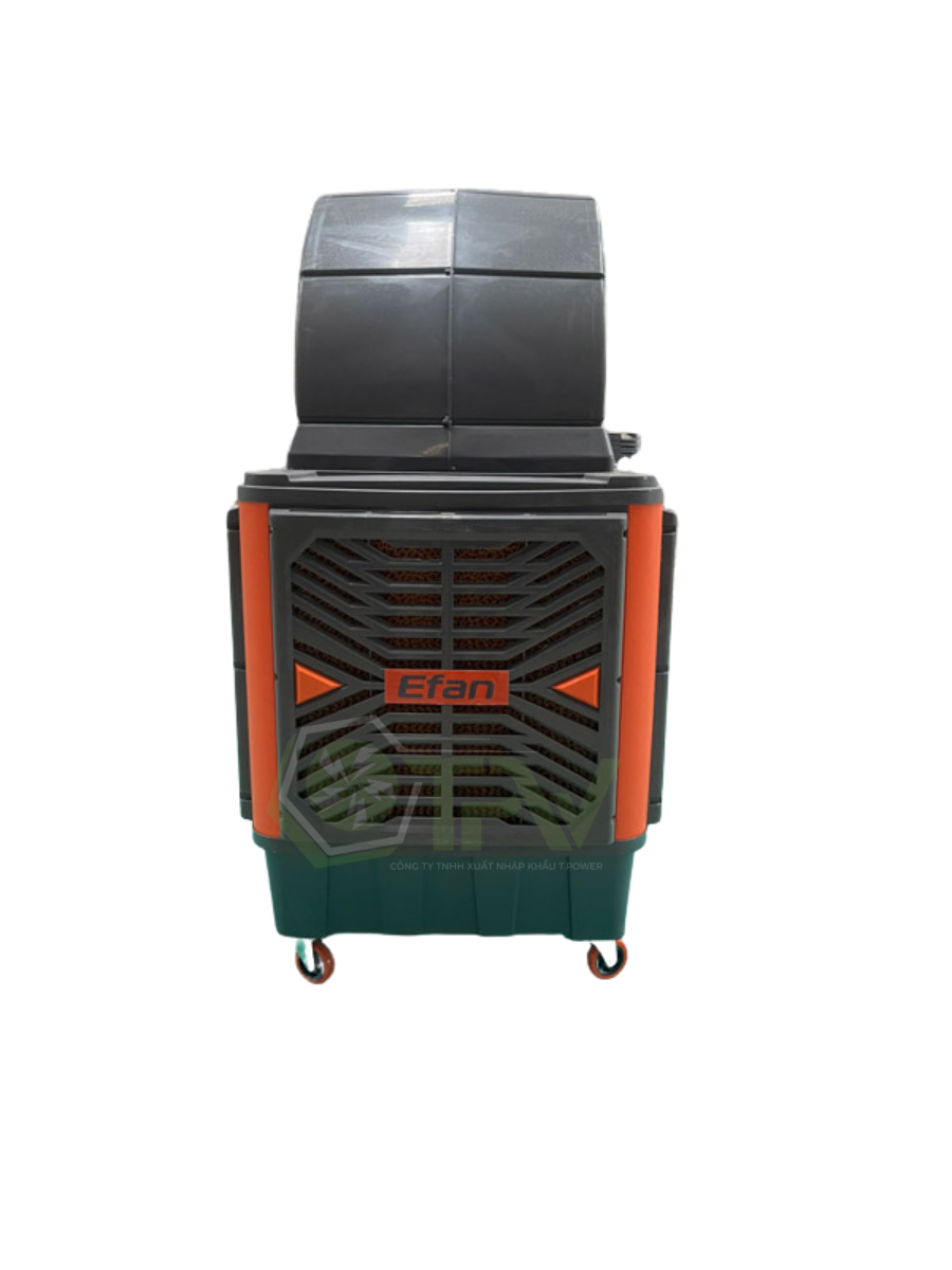 Thiết kế chưa có tên (69) Thiết kế chưa có tên (69)