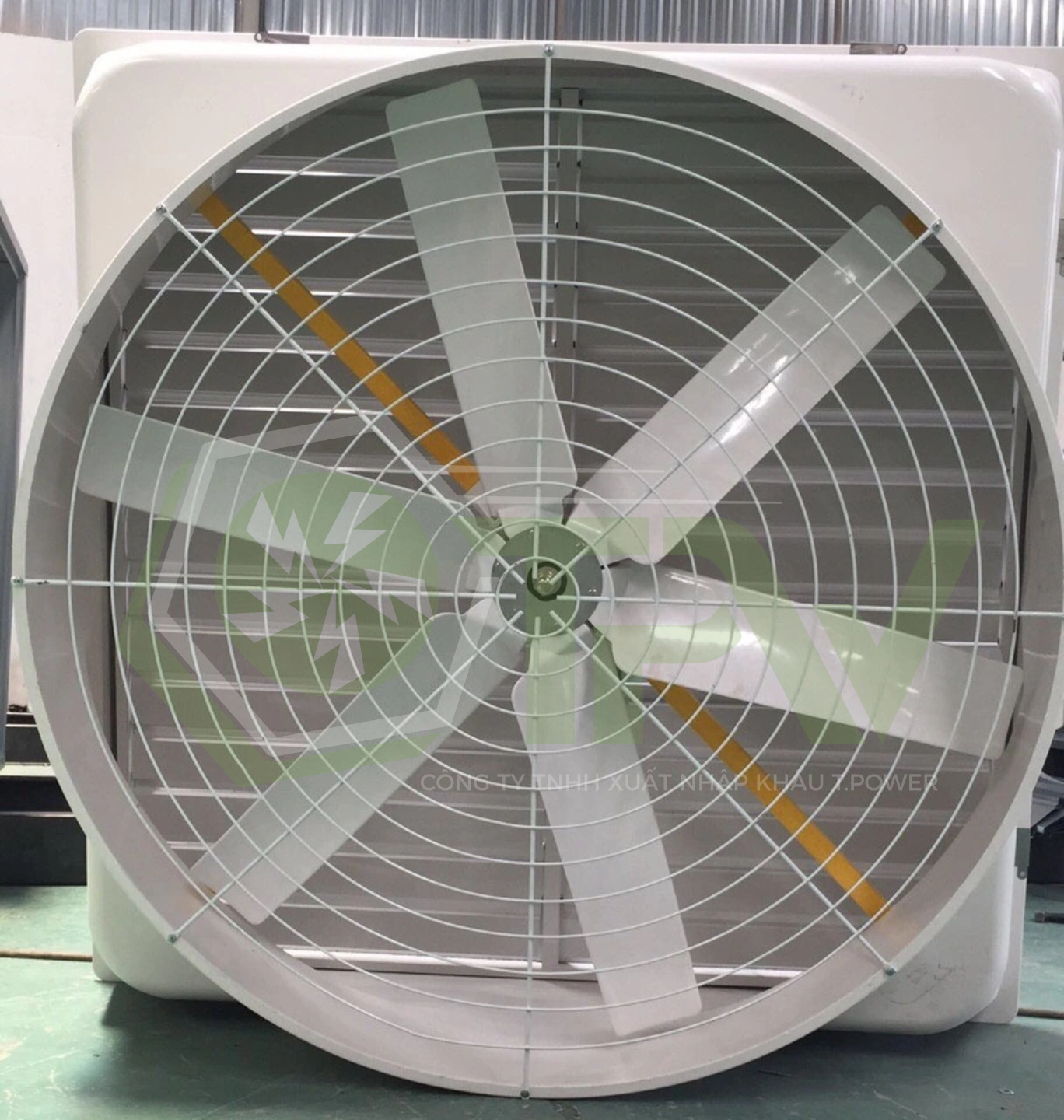 Thiết kế chưa có tên (81) Thiết kế chưa có tên (81)